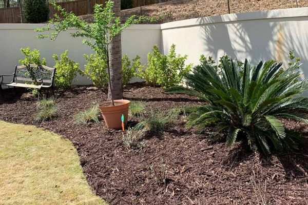 Mercado Landscaping LLC-2024-02-20T16_40_56.583Z-67