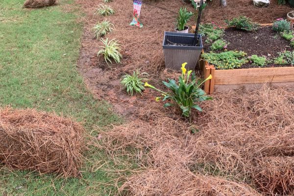 Mercado Landscaping LLC-2024-02-20T17_24_52.486Z-4