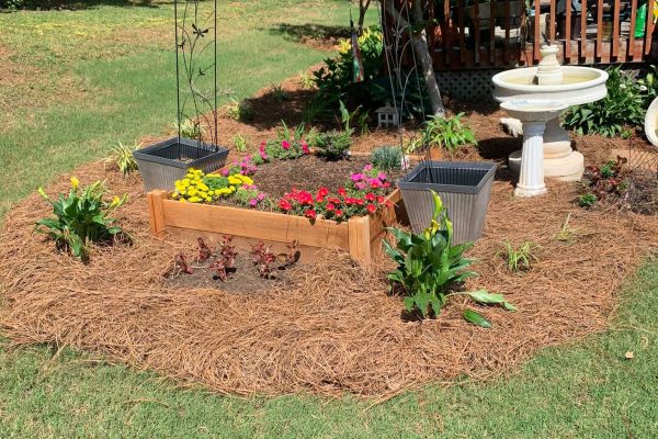 Mercado Landscaping LLC-2024-02-20T17_24_52.488Z-10