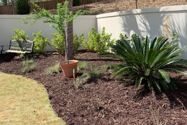 Mercado Landscaping LLC-2024-02-20T17_24_52.488Z-9