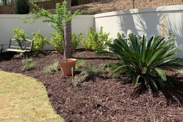 Mercado Landscaping LLC-2024-02-20T17_24_52.488Z-9