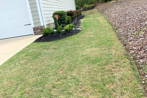 Mercado Landscaping LLC-2024-02-20T17_24_52.489Z-14