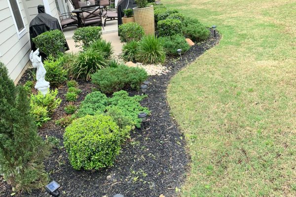 Mercado Landscaping LLC-2024-02-20T17_24_52.492Z-33